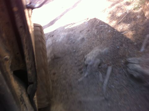 1990 Ford Bronco - A vehicle navigates a rough, dirt path covered in pine needles and debris.
