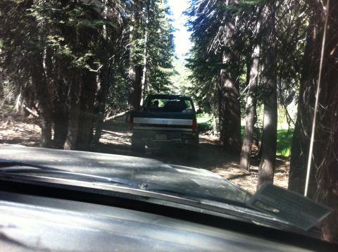 1990 Ford Bronco - A truck navigates a wooded path, viewed from the perspective of a following vehicle.