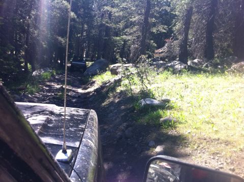 1990 Ford Bronco - Off-roading adventure on a sunny day through a wooded trail.