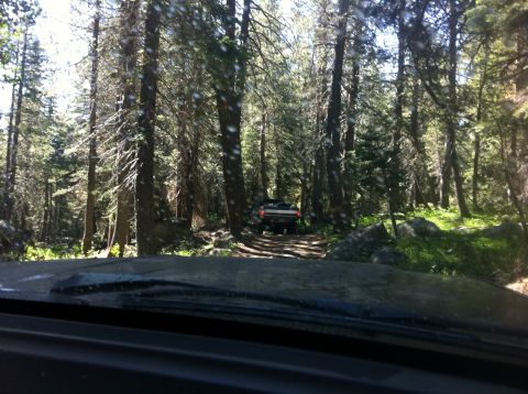1990 Ford Bronco - A vehicle navigates a dirt trail surrounded by tall trees in a wooded area.
