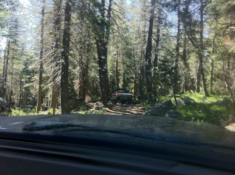 1990 Ford Bronco - Driving through a wooded area on a rough dirt road.