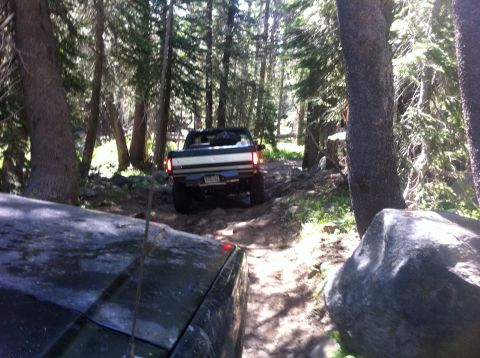 1990 Ford Bronco - Two trucks navigate a narrow, rocky trail surrounded by dense trees on a sunny day.