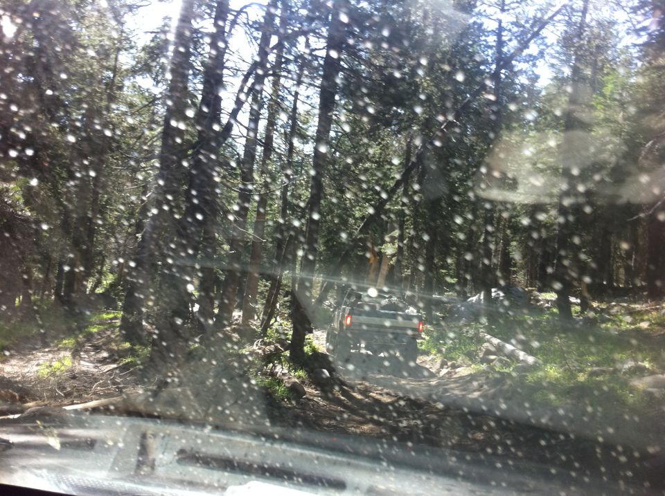 Off-road vehicle on a dirt path in a forest