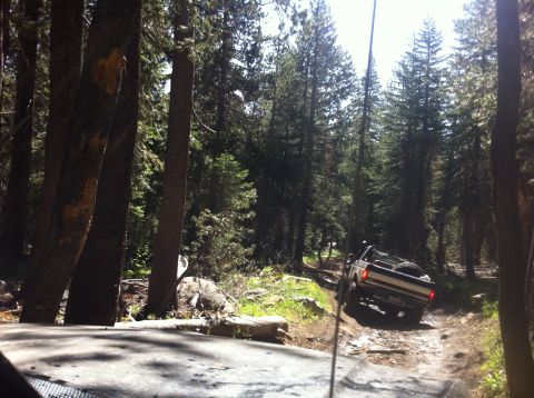 1990 Ford Bronco - A pickup truck navigates a challenging off-road trail surrounded by dense pine trees.