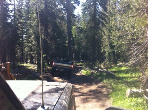 1990 Ford Bronco - A Ford Bronco navigates a wooded trail, with another vehicle following closely behind.