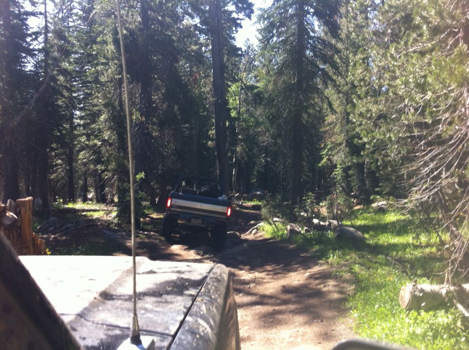 Dark blue Ford Bronco driving on a dirt path through a forest, rear view. Another vehicle is partially visible in the foreground