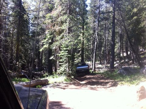 1990 Ford Bronco - Two trucks drive on a dirt road surrounded by tall trees in a forest.