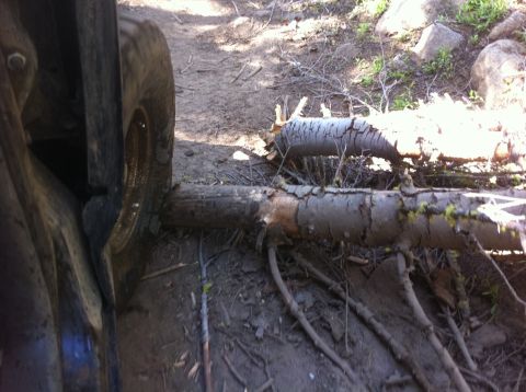 1990 Ford Bronco - A vehicle's tire and fender are visible on a dirt path, with a fallen log blocking the trail ahead.