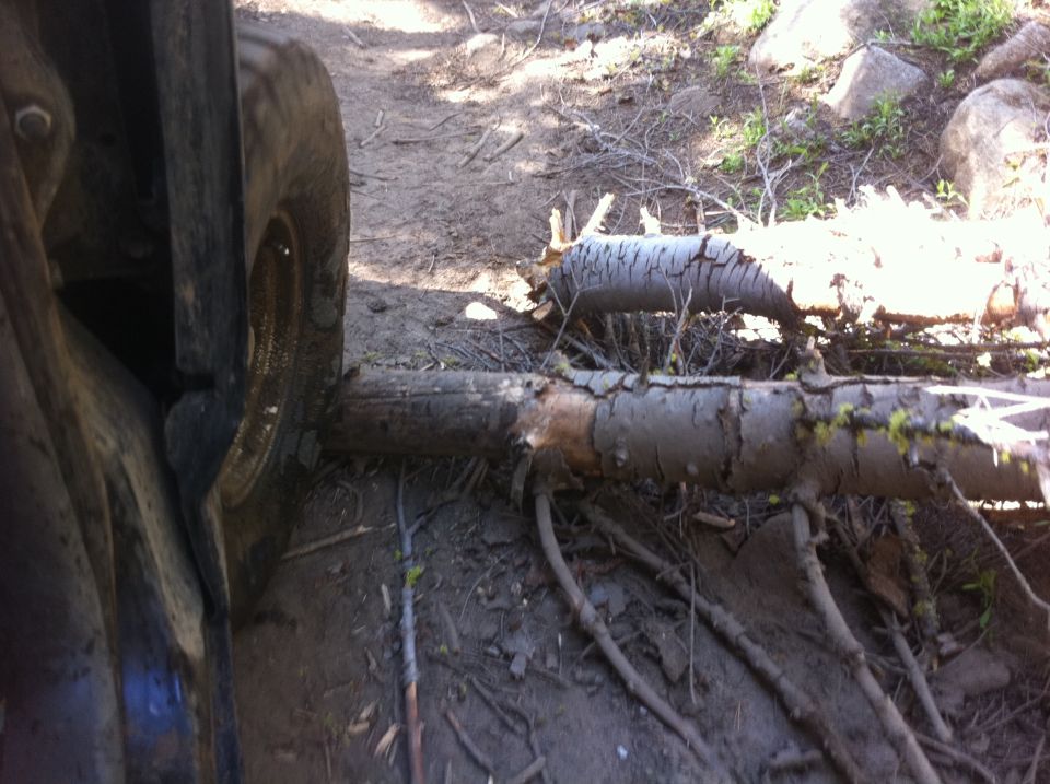 Close-up of a vehicle's tire and fender on a dirt path, with a fallen log obstructing the way