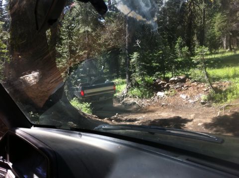 1990 Ford Bronco - Pickup truck navigates a wooded trail, viewed through the windshield of another vehicle.