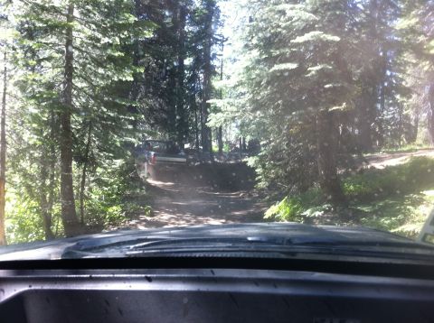 1990 Ford Bronco - Vehicles navigate a wooded trail, kicking up dust on the path ahead.