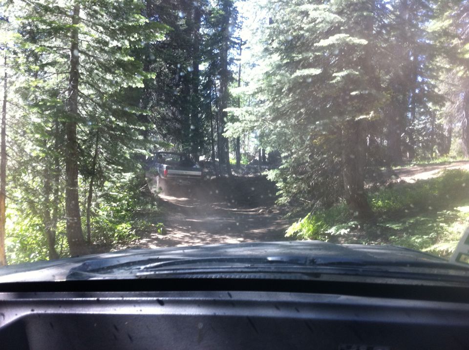 Two trucks driving on a dirt road through a forest
