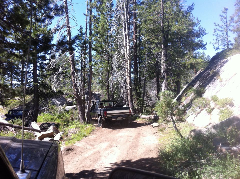 1990 Ford Bronco driving on a dirt road through a forest