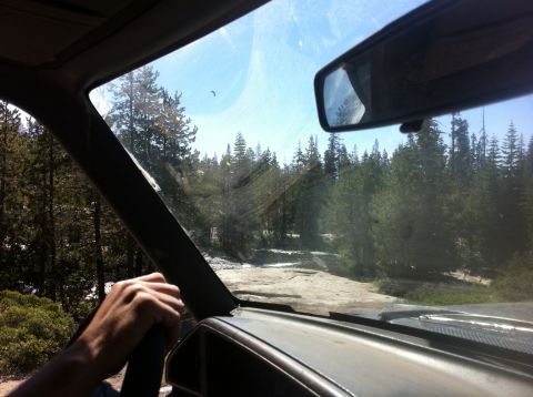 1990 Ford Bronco - Driving through a wooded area on a dirt road, seen from the interior of the vehicle.