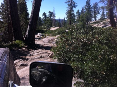 1990 Ford Bronco - A vehicle navigates a rocky, wooded trail under a clear blue sky.