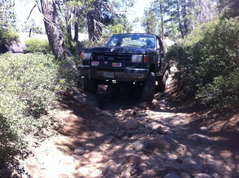 1990 Ford Bronco - This black 1990 Ford Bronco navigates a challenging rocky path through a wooded area.