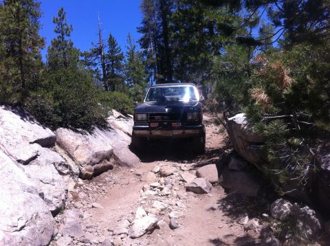 1990 Ford Bronco - Ford Bronco navigating a challenging rocky path surrounded by trees.