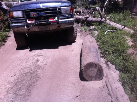 1990 Ford Bronco - This Ford Bronco is navigating a rough, wooded trail with a large log blocking the path.