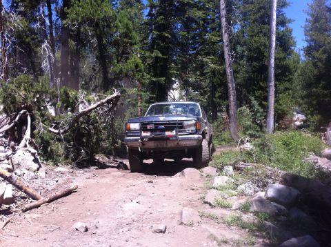 1990 Ford Bronco - 1990 Ford Bronco navigating a rough, off-road path through a forest.