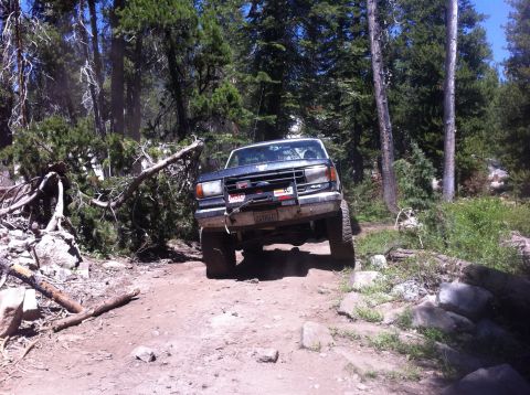 1990 Ford Bronco - A dark blue Ford Bronco navigates a challenging, rocky trail through a dense forest.