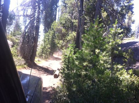 1990 Ford Bronco - Driving on a dusty forest road with a fallen log and another vehicle ahead.
