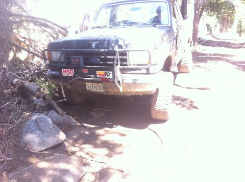 1990 Ford Bronco - This 1990 Ford Bronco is navigating a rocky, wooded trail with a bull emblem on the hood.