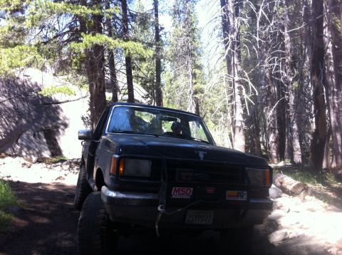 1990 Ford Bronco - A black pickup truck navigates a wooded trail, its front end visible with a bull bar and off-road tires.