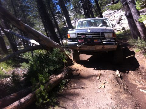 1990 Ford Bronco - A dark blue Ford Bronco navigates a challenging dirt trail, partially blocked by a fallen tree.
