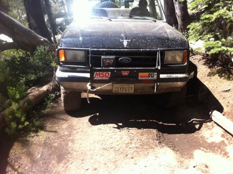 1990 Ford Bronco - 1990 Ford Bronco navigating a wooded trail with a bull emblem on the hood.