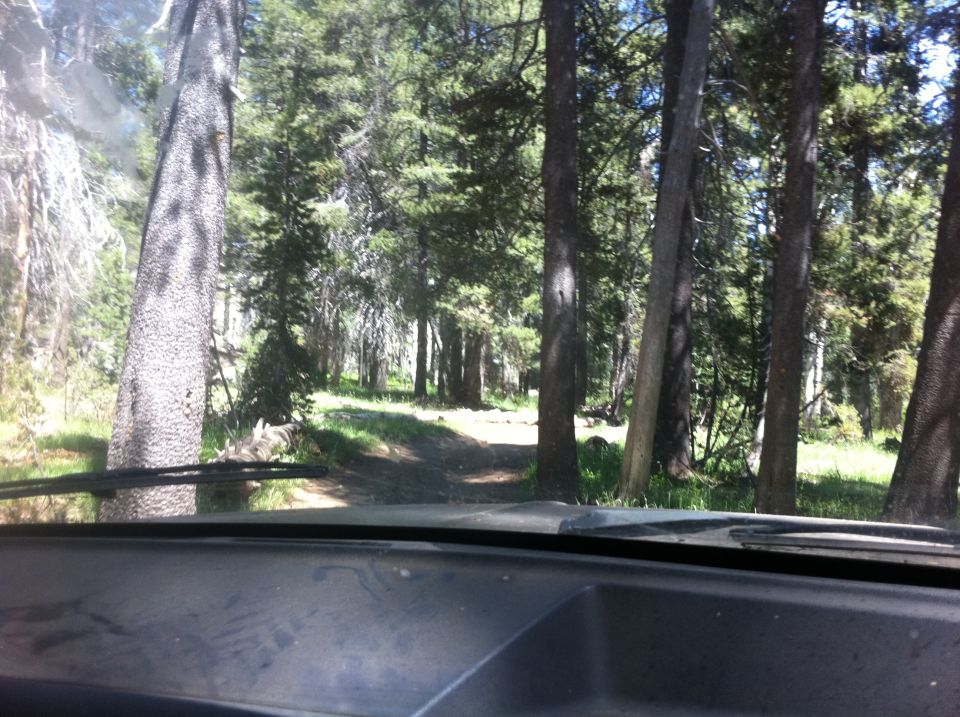 Dashboard and windshield view from inside a vehicle looking out at a dirt road in a forest