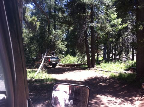 1990 Ford Bronco - A truck is parked on a dirt road surrounded by trees in a forest clearing.