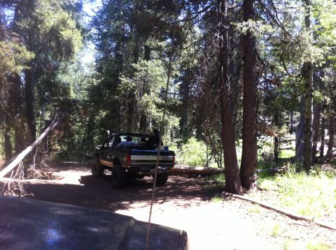 1990 Ford Bronco - A Ford Bronco is parked on a dirt road surrounded by trees, with another vehicle partially visible in the foreground.