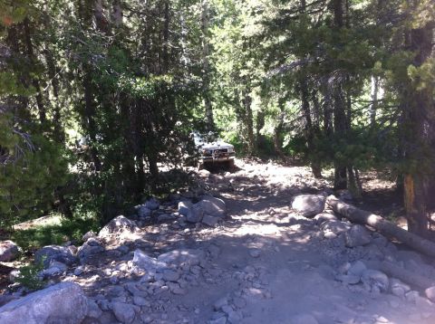 1990 Ford Bronco - A white 1990 Ford Bronco tackles a challenging, rocky path in a dense forest environment.