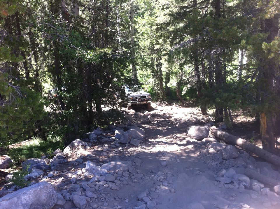 White 1990 Ford Bronco navigating a rocky trail through a forest