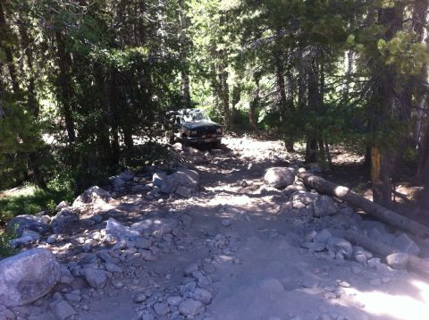 1990 Ford Bronco - 1990 Ford Bronco driving on a rough, rocky path through a forest.