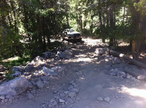 1990 Ford Bronco - A vehicle drives through a challenging, rocky path in a forest setting.