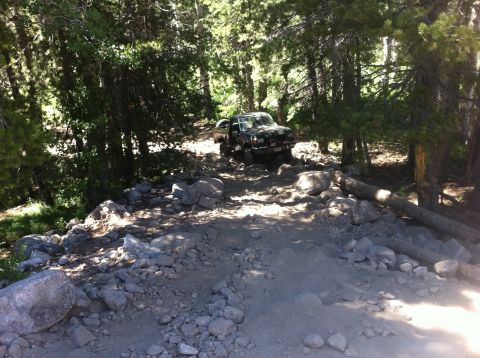 1990 Ford Bronco - A black Ford Bronco navigates a challenging, rocky path through a dense forest.