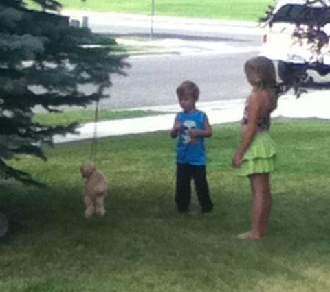 2006 Ford E350 - Two children and a dog on a leash are in a grassy yard with a tree and a vehicle in the background.