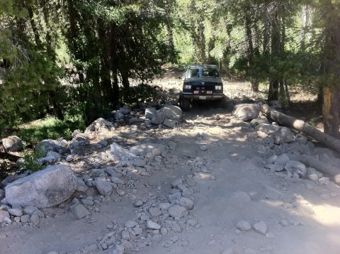 1990 Ford Bronco - Ford Bronco tackling a challenging off-road path in a forest setting.