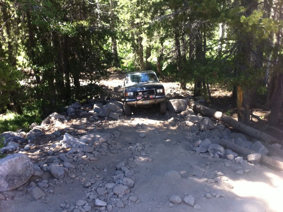 Black Ford Bronco navigating a rocky, wooded trail