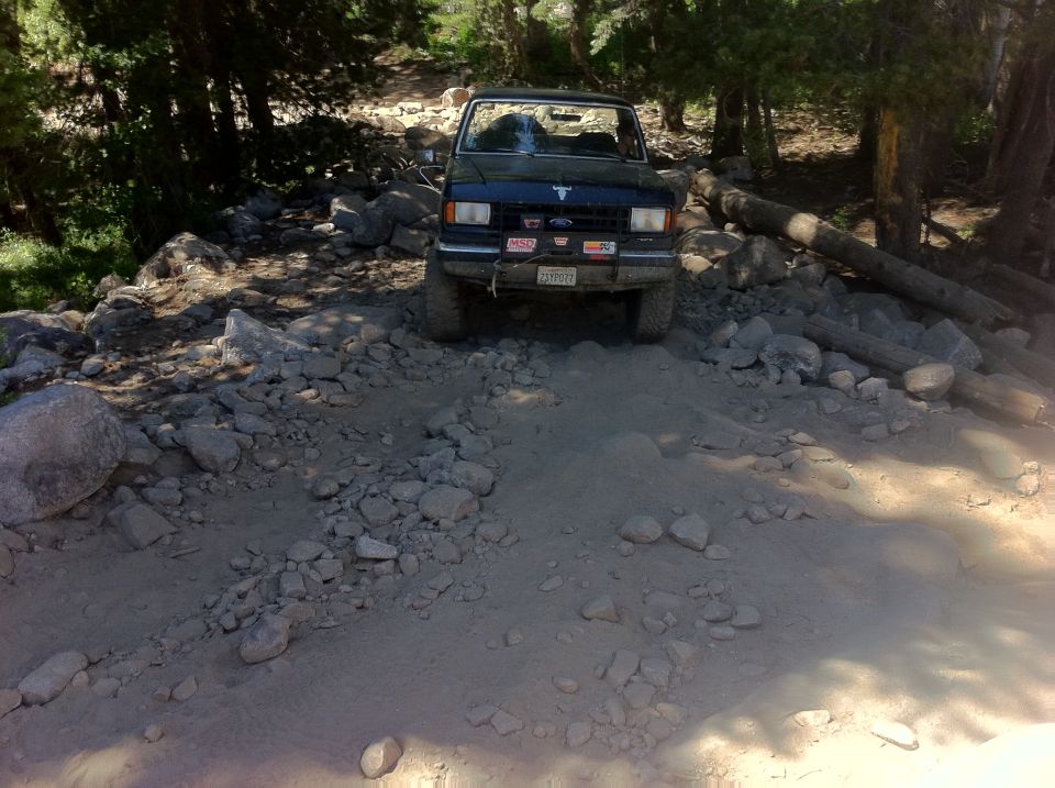 Dark blue Ford Bronco on a rocky, wooded trail