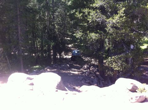 1990 Ford Bronco - A blue SUV navigates a rough, wooded path with large rocks.