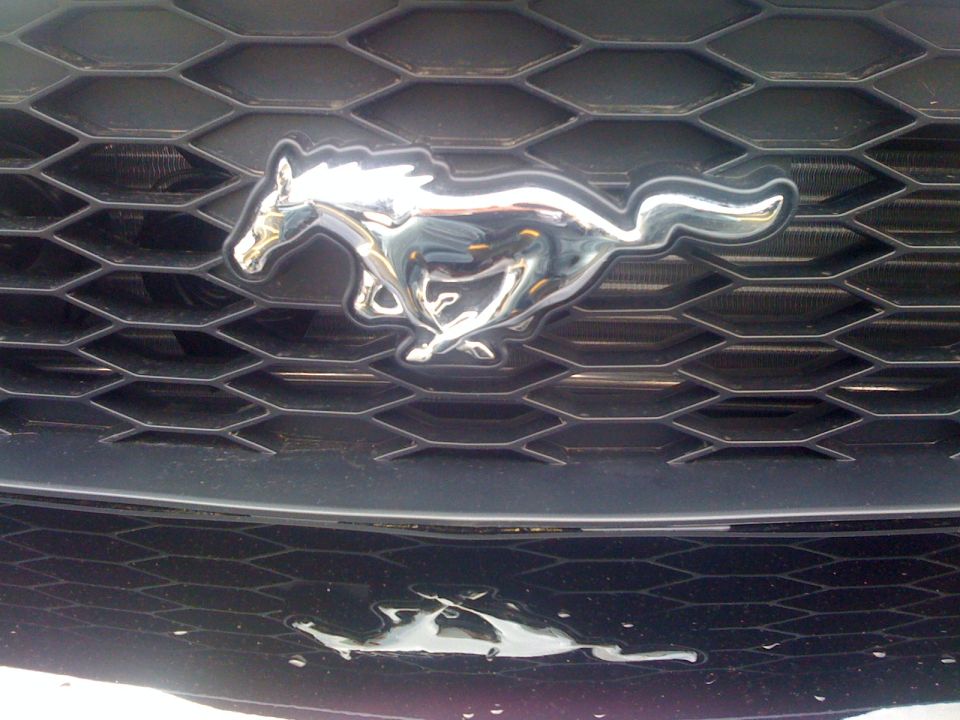 2008 Ford Mustang