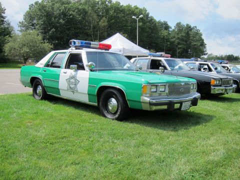 1991 Ford LTD Crown Victoria - green-and-white Ford LTD Crown Victoria police car with light bar and star emblem parked among other vehicles on grass.