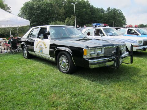 1991 Ford LTD Crown Victoria - black-and-white Ford highway patrol cruiser with star emblem, push bumper and roof light bar parked among police cars on grass.