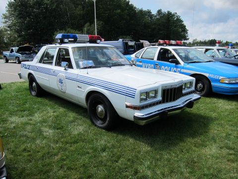 1991 Ford LTD Crown Victoria - white Plymouth police sedan with blue side stripes and roof light bar parked on grass beside a blue police car.