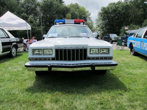 1991 Ford LTD Crown Victoria - Head-on view of a white police sedan with a chrome grille, quad headlights and red-and-blue roof light bar parked on grass.