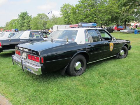 1991 Ford LTD Crown Victoria - Black police sedan with white roof, gold door shield and light bar, rear three-quarter view on grass among other cruisers.