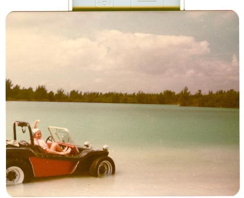1978 Ford F-250 - Person in a dune buggy on a beach with trees and clouds in the background.
