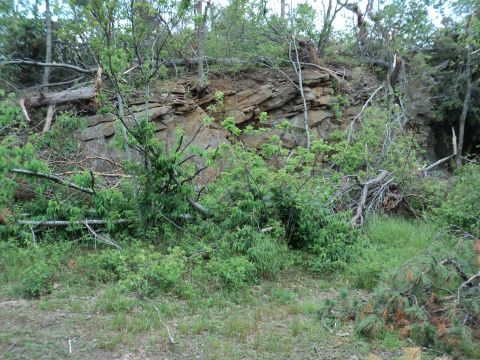 1986 Ford Bronco - A natural scene of a rocky hillside covered in trees and debris from fallen branches.